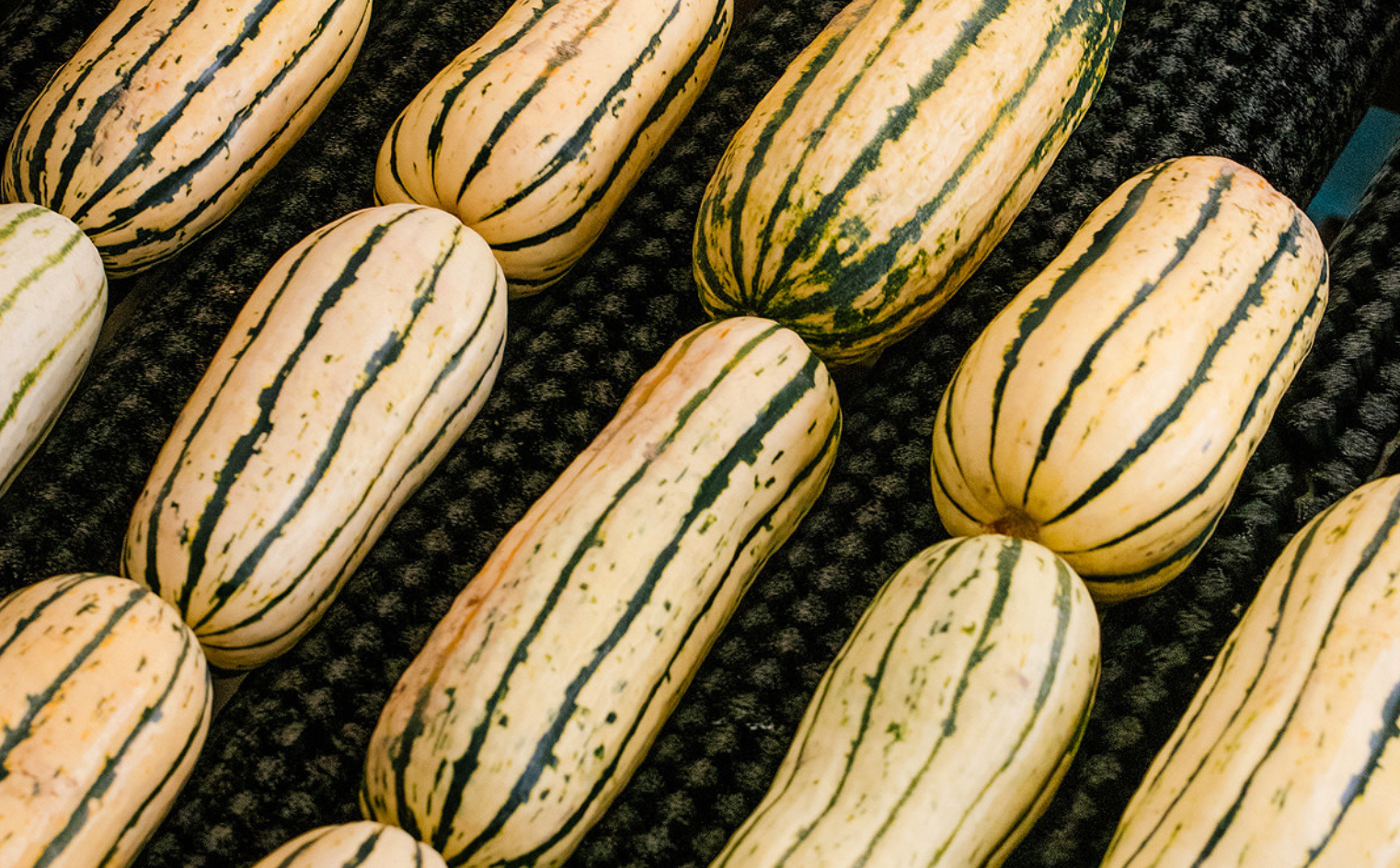 How to Cook Delicata Squash