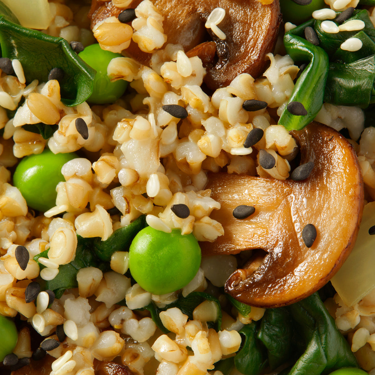 Close up image of Daily Harvest Cremini + Miso Oat Forager Bowl.