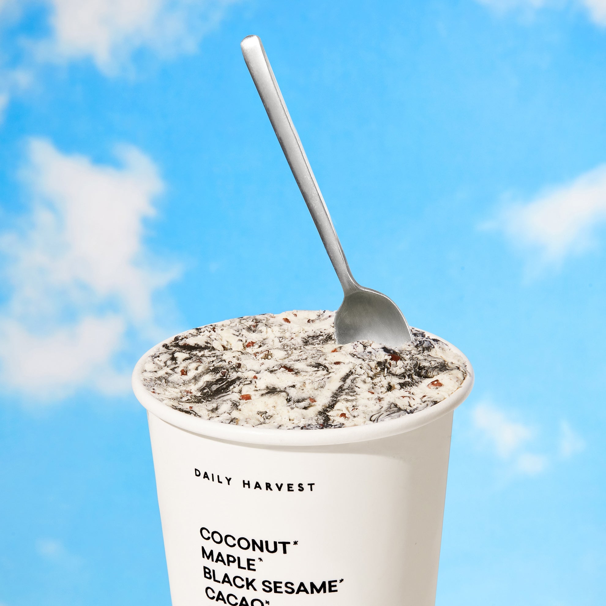 Daily Harvest Vanilla + Salted, Swirled Black Sesame Scoops