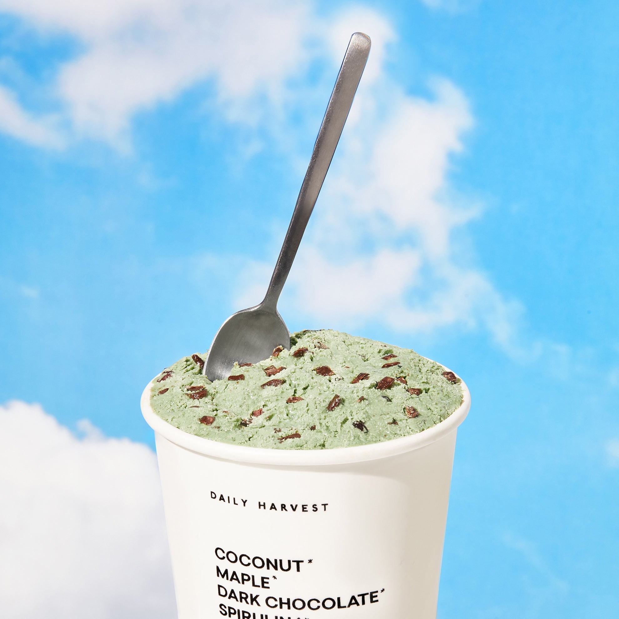 Daily Harvest Mint + Dark, Melty Cacao Chips Scoops