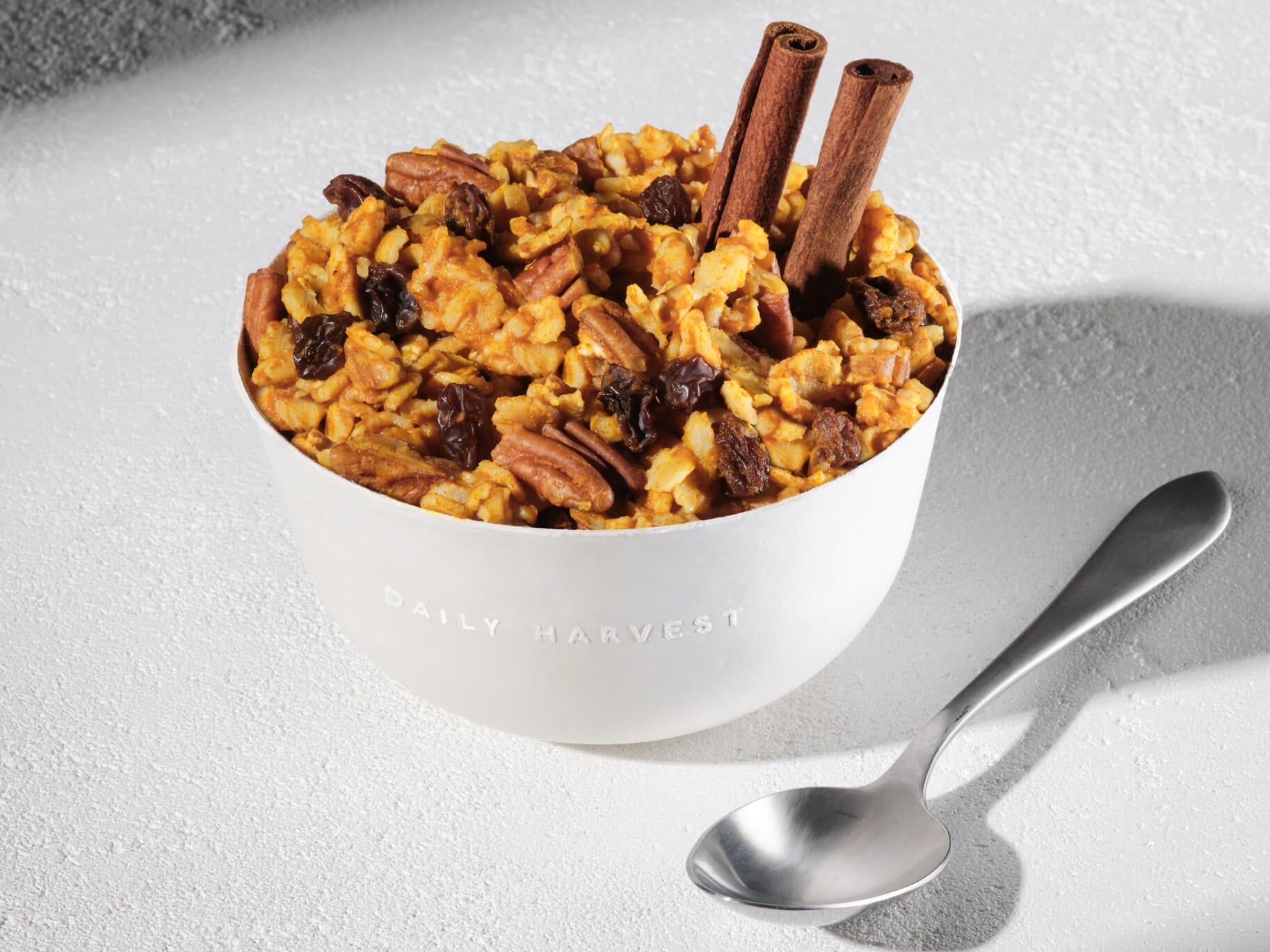 Image of Daily Harvest Kabocha and Chai Oat Bowl prepared in a bowl with cinnamon garnish.
