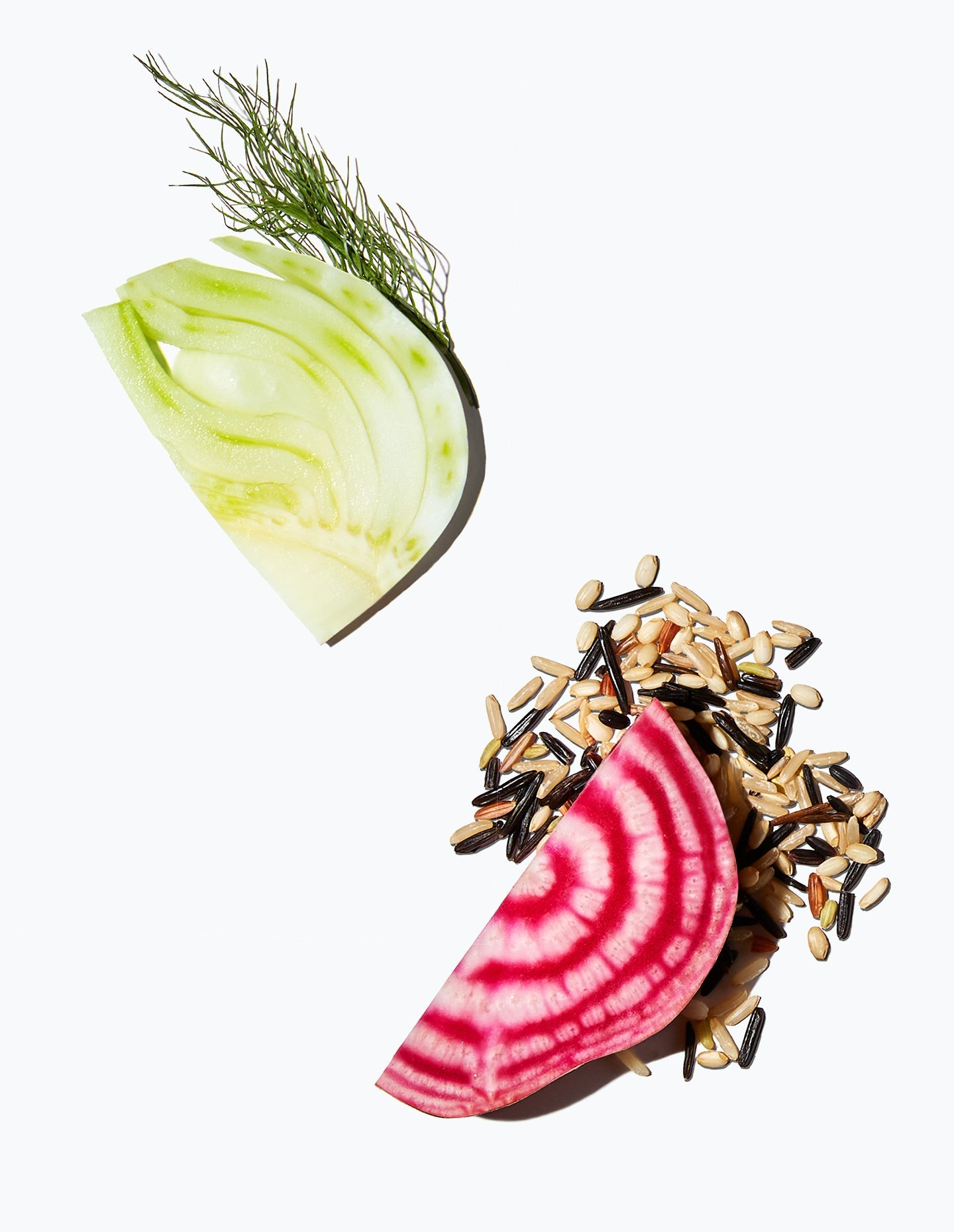 A sliced candy cane beet, a slice of fennel, a sprig of dill, and wild rice