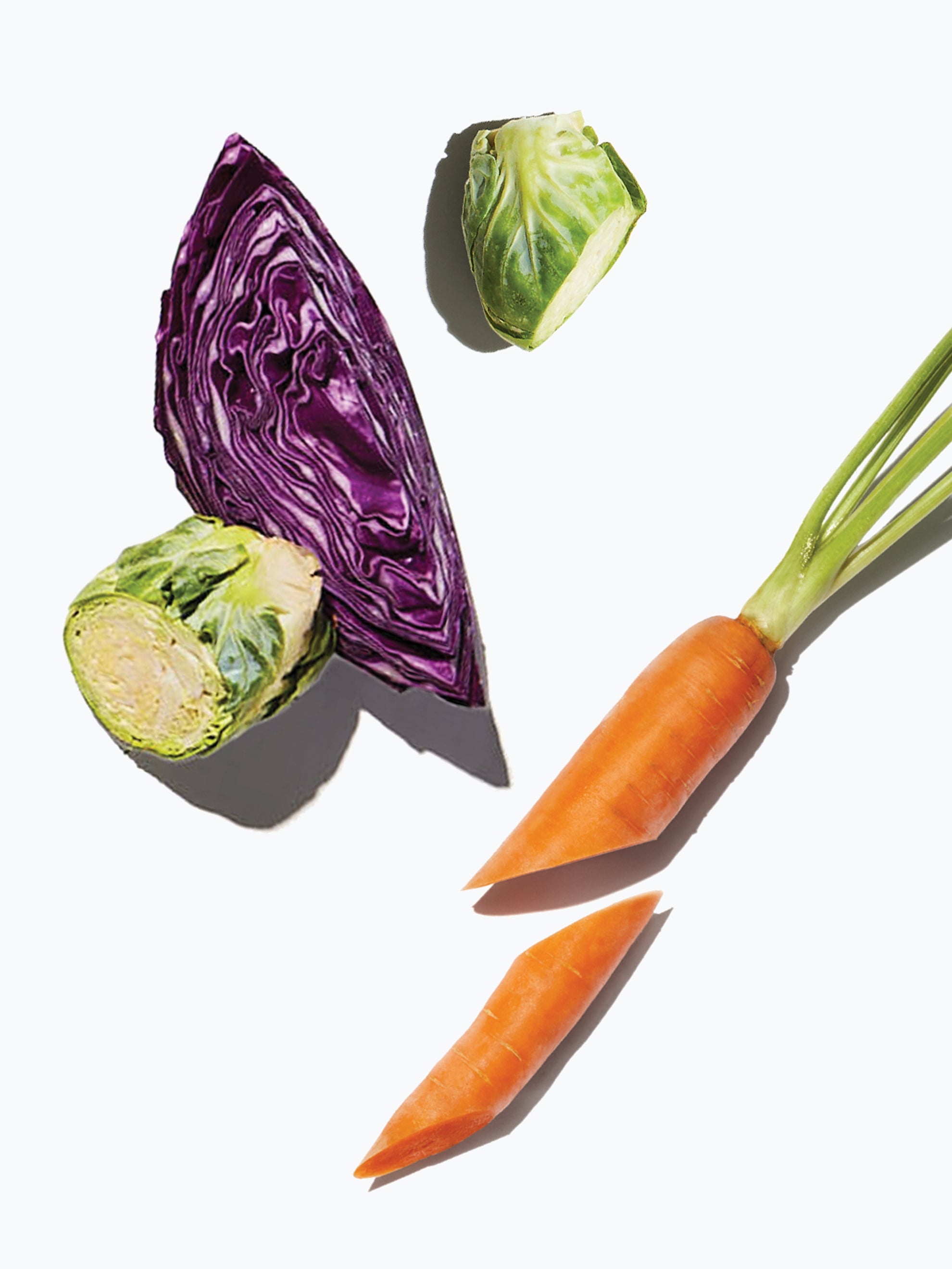 Image of Daily Harvest Brussels Sprouts + Sesame Harvest Bowl ingredients including a carrot, brussel sprout and cabbage.