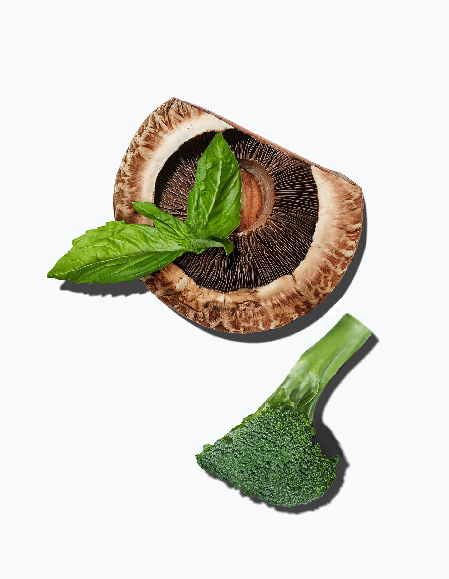 Ingredients of Daily Harvest Portobello + Pesto Flatbread (showing basil, portobello mushroom cap, and broccoli)