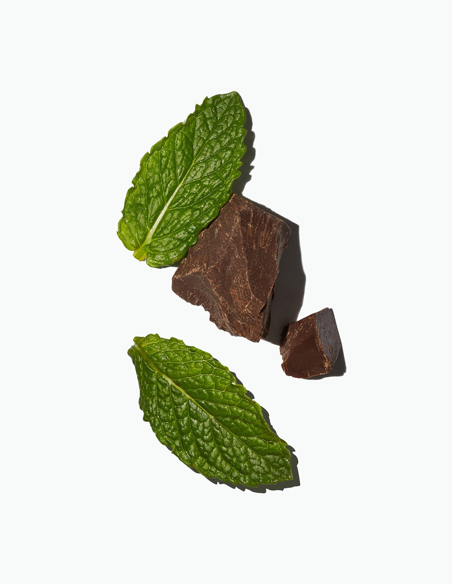 Mint leaves and cacao pieces