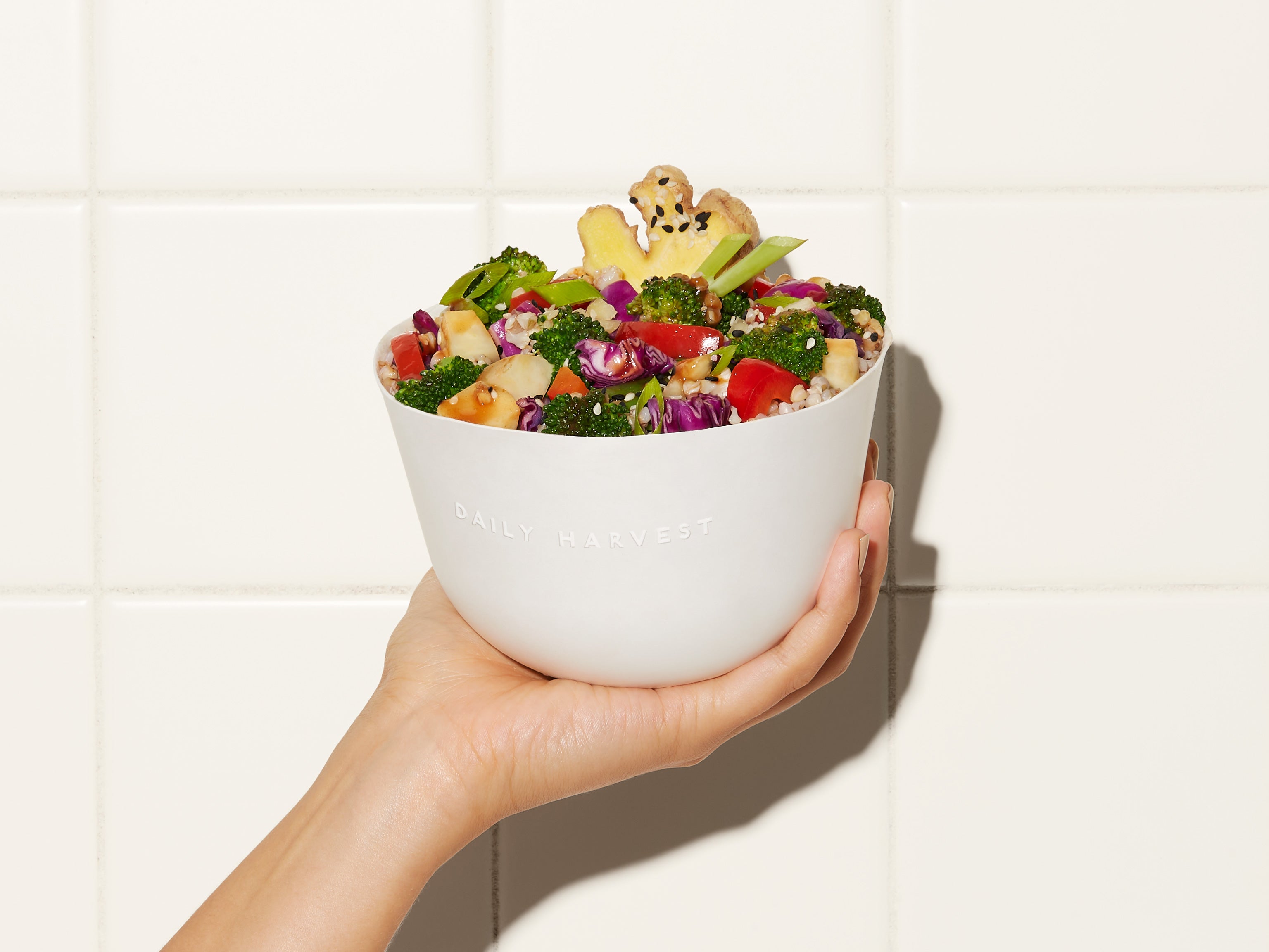 A hand holding a Daily Harvest Broccoli + Tamari Sesame Harvest Bowl.